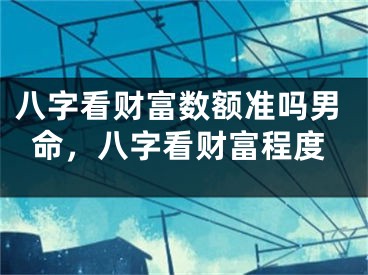 八字看财富数额准吗男命，八字看财富程度