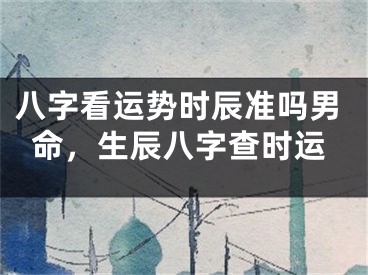 八字看运势时辰准吗男命，生辰八字查时运