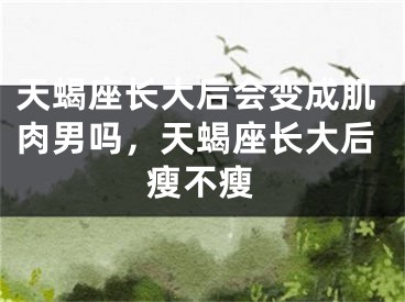 天蝎座长大后会变成肌肉男吗，天蝎座长大后瘦不瘦