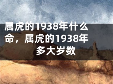 属虎的1938年什么命，属虎的1938年多大岁数