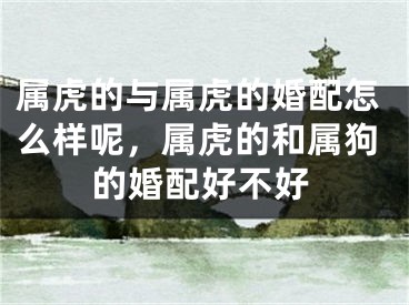 属虎的与属虎的婚配怎么样呢，属虎的和属狗的婚配好不好