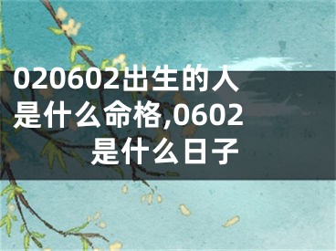 020602出生的人是什么命格,0602是什么日子