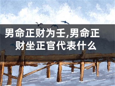 男命正财为壬,男命正财坐正官代表什么