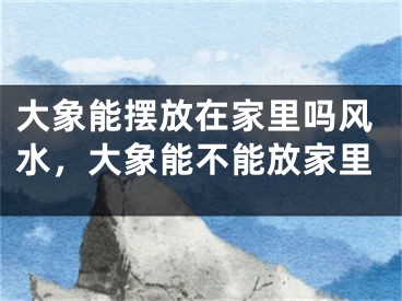 大象能摆放在家里吗风水，大象能不能放家里
