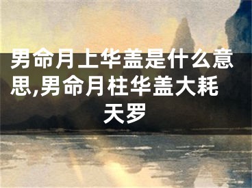 男命月上华盖是什么意思,男命月柱华盖大耗天罗