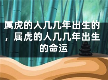 属虎的人几几年出生的，属虎的人几几年出生的命运