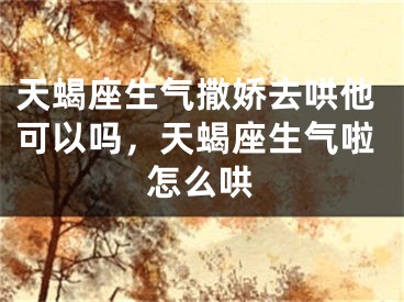 天蝎座生气撒娇去哄他可以吗，天蝎座生气啦怎么哄