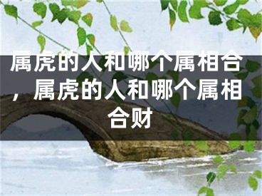 属虎的人和哪个属相合，属虎的人和哪个属相合财