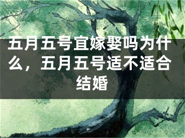 五月五号宜嫁娶吗为什么，五月五号适不适合结婚