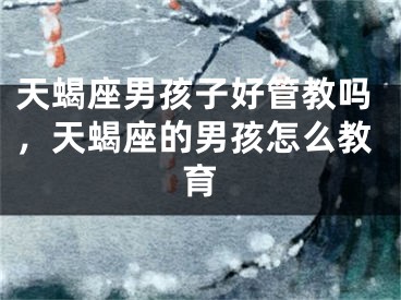 天蝎座男孩子好管教吗，天蝎座的男孩怎么教育