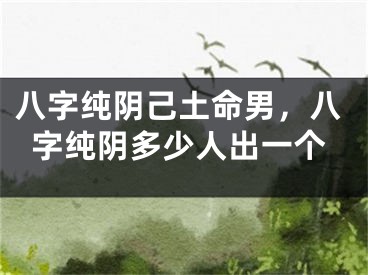 八字纯阴己土命男，八字纯阴多少人出一个