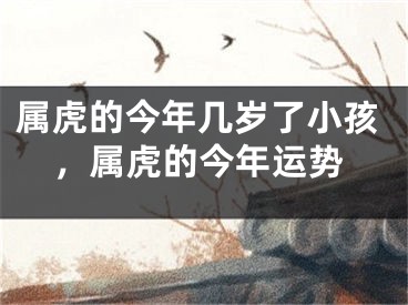 属虎的今年几岁了小孩，属虎的今年运势