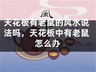 天花板有老鼠的风水说法吗，天花板中有老鼠怎么办