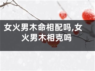 女火男木命相配吗,女火男木相克吗