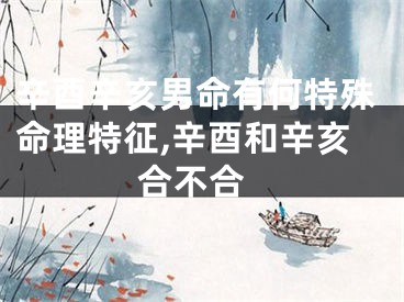辛酉辛亥男命有何特殊命理特征,辛酉和辛亥 合不合