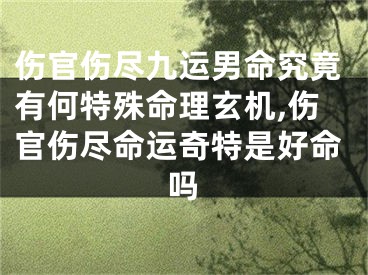 伤官伤尽九运男命究竟有何特殊命理玄机,伤官伤尽命运奇特是好命吗