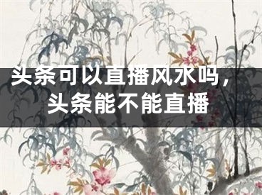 头条可以直播风水吗，头条能不能直播