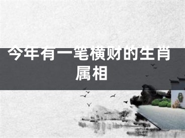 今年有一笔横财的生肖属相