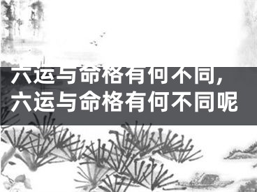 六运与命格有何不同,六运与命格有何不同呢