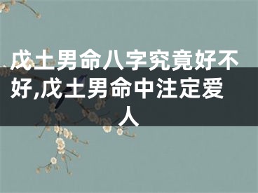 戊土男命八字究竟好不好,戊土男命中注定爱人
