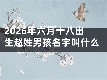 2026年六月十八出生赵姓男孩名字叫什么