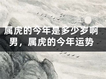 属虎的今年是多少岁啊男，属虎的今年运势