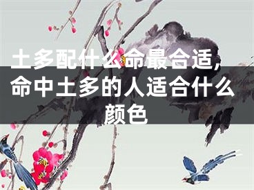 土多配什么命最合适,命中土多的人适合什么颜色