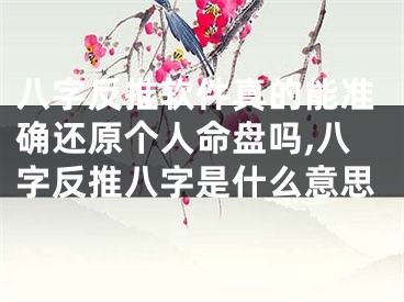 八字反推软件真的能准确还原个人命盘吗,八字反推八字是什么意思