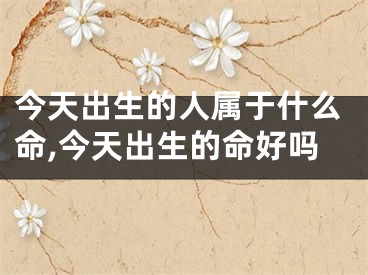 今天出生的人属于什么命,今天出生的命好吗