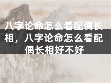 八字论命怎么看配偶长相，八字论命怎么看配偶长相好不好