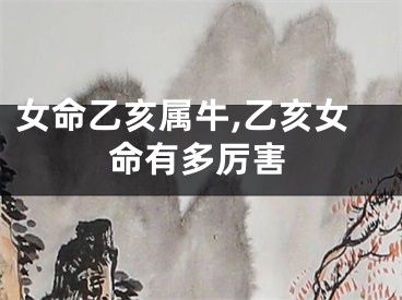 女命乙亥属牛,乙亥女命有多厉害