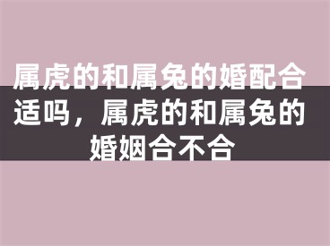 属虎的和属兔的婚配合适吗，属虎的和属兔的婚姻合不合