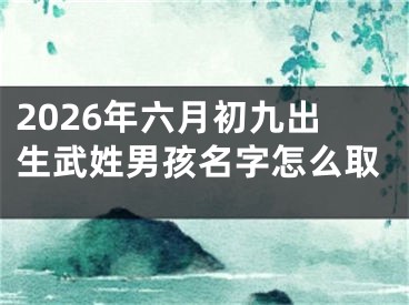 2026年六月初九出生武姓男孩名字怎么取