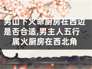男山下火命厨房在西边是否合适,男主人五行属火厨房在西北角