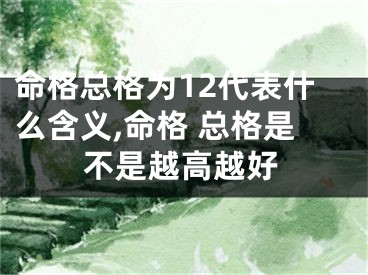 命格总格为12代表什么含义,命格 总格是不是越高越好