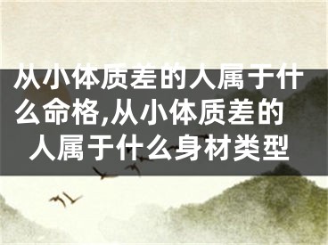 从小体质差的人属于什么命格,从小体质差的人属于什么身材类型