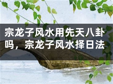 宗龙子风水用先天八卦吗，宗龙子风水择日法
