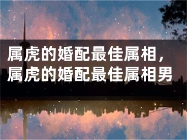 属虎的婚配最佳属相，属虎的婚配最佳属相男