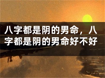 八字都是阴的男命，八字都是阴的男命好不好