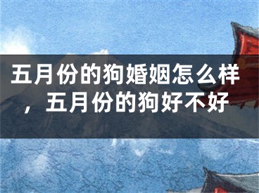 五月份的狗婚姻怎么样，五月份的狗好不好