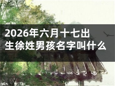 2026年六月十七出生徐姓男孩名字叫什么