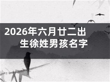 2026年六月廿二出生徐姓男孩名字