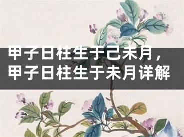 甲子日柱生于己未月，甲子日柱生于未月详解