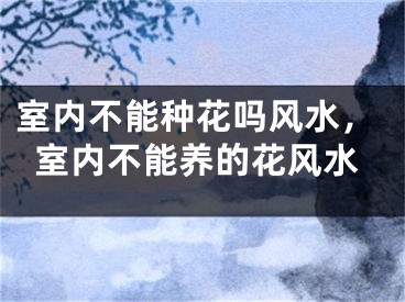 室内不能种花吗风水，室内不能养的花风水