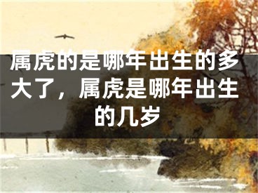 属虎的是哪年出生的多大了，属虎是哪年出生的几岁