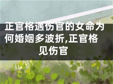正官格遇伤官的女命为何婚姻多波折,正官格 见伤官