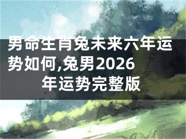 男命生肖兔未来六年运势如何,兔男2026年运势完整版
