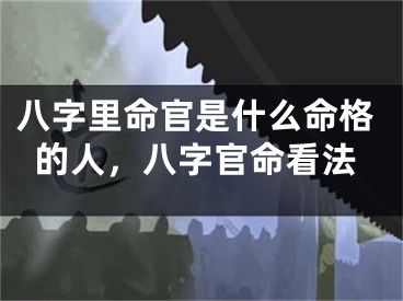 八字里命官是什么命格的人，八字官命看法
