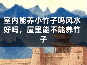 室内能养小竹子吗风水好吗，屋里能不能养竹子