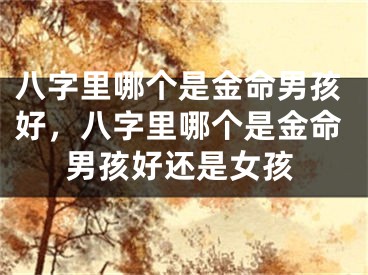 八字里哪个是金命男孩好，八字里哪个是金命男孩好还是女孩